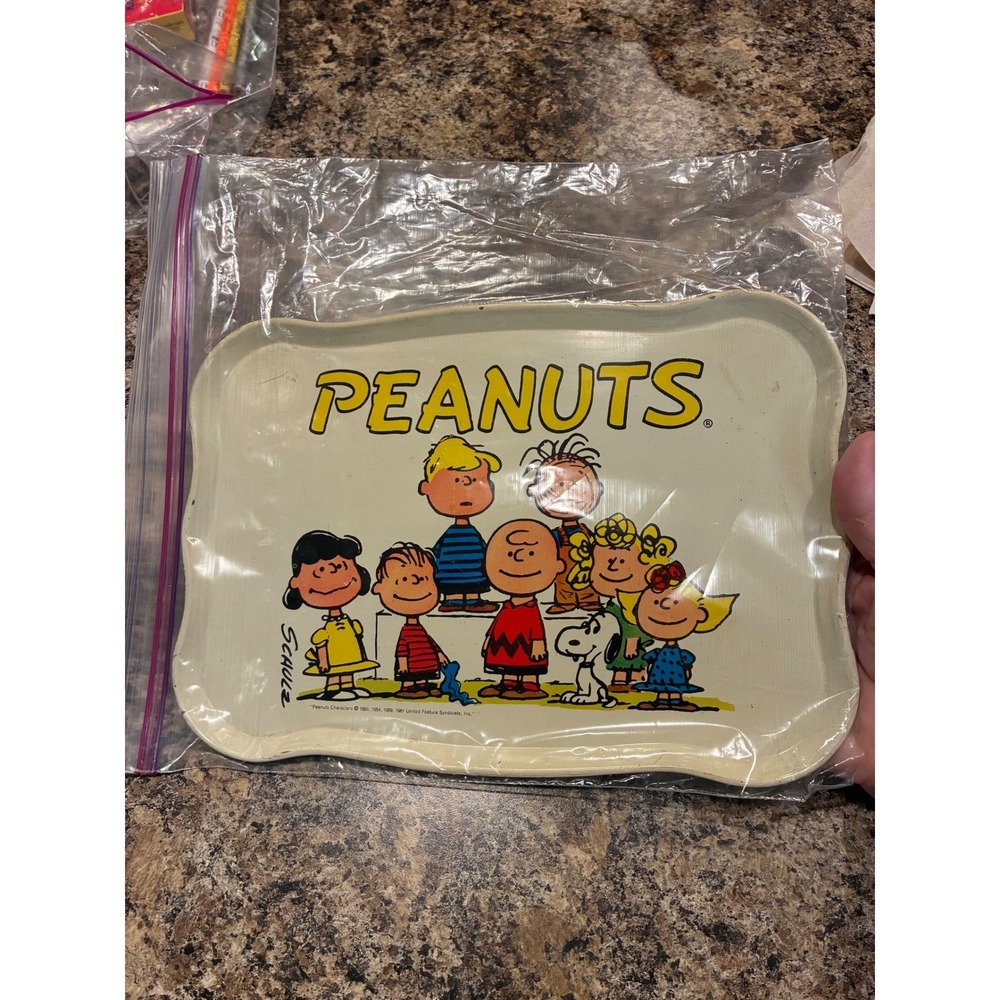 Vintage Peanuts Metal Lap Tray Charlie Brown Snoopy Gang Tin 1950s 1960s Schulz